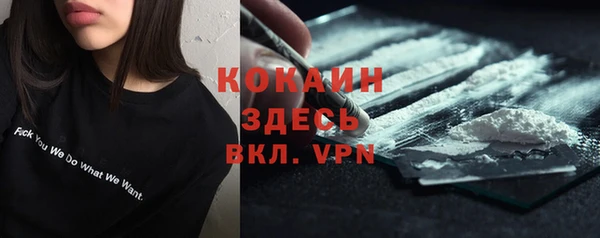 mdpv Богородск