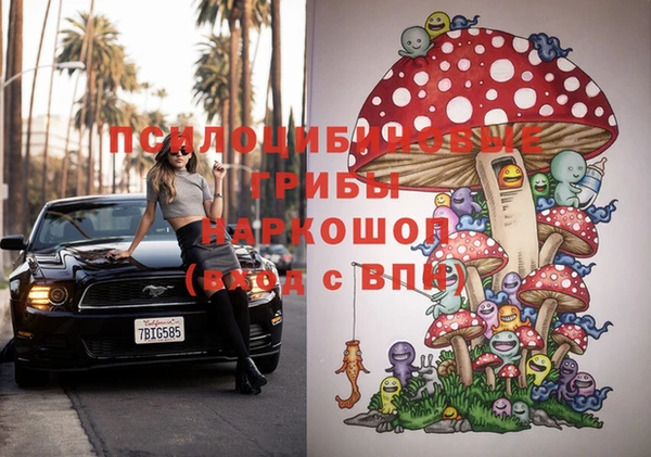 МДМА Богородицк