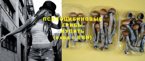 mdpv Богородск
