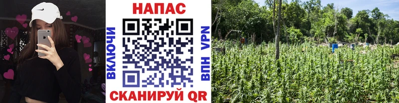 Марихуана LSD WEED  Купить закладки  Оханск 